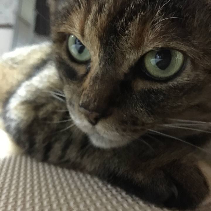 1ce63f99 a793 4715 91e8 477cfc926d0c 1549032422532