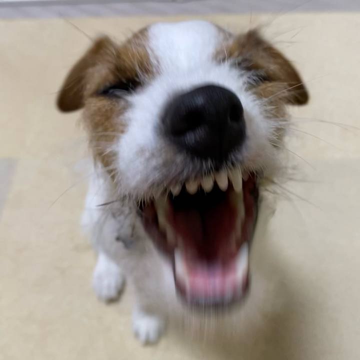 1ce66aec 704f 4eaa 9ba4 d04bc7f19a29 1641996656761