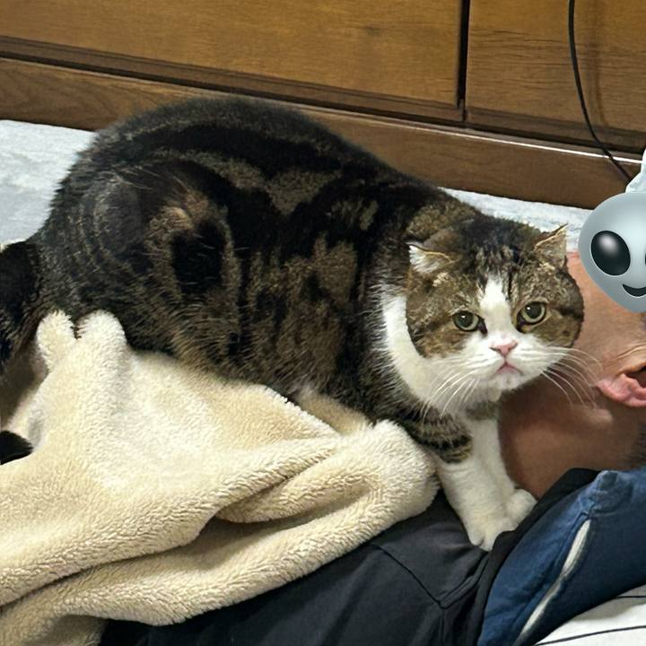 1ce6a390 589f 4151 928b c94fbb5b0e57 1771289157216