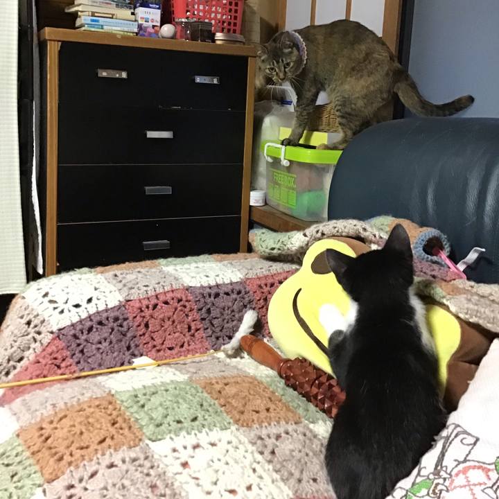 1ce6a431 7cf3 4160 a8db 2b858fa2aebc 1625911733985