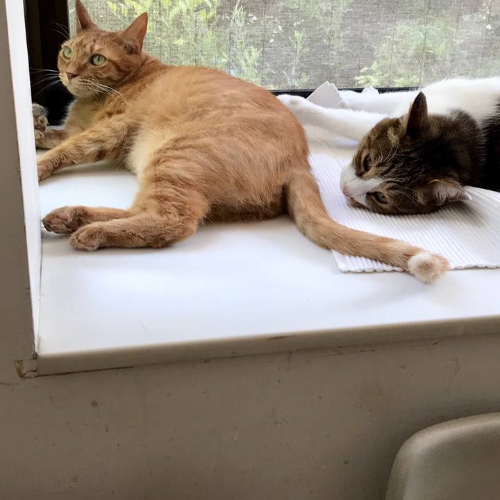 1ce6d0a8 e137 42e7 9277 b038dfd2eb7a 1564976486374