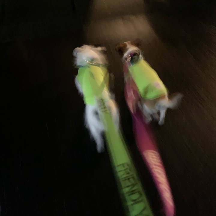 1ce6d36d 5265 4f53 a4b7 613ecf07a517 1554903940119