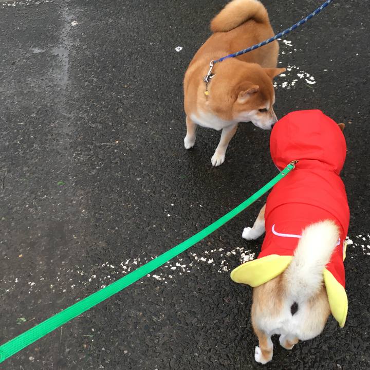 1ce6d498 4e9a 49f5 a031 5c90bd87ef01 1602229544201