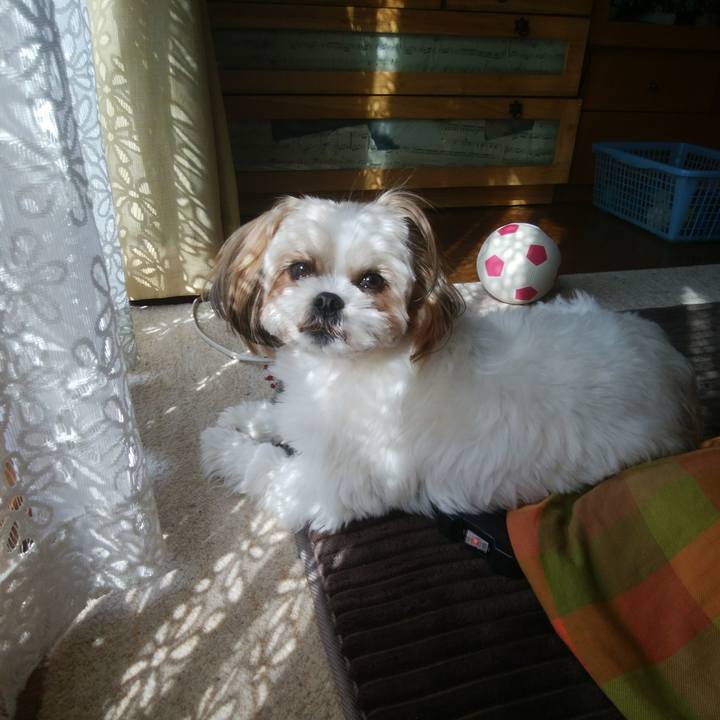 1ce6dedb 909b 4e70 8de7 33e1a4aac5e6 1551401620575