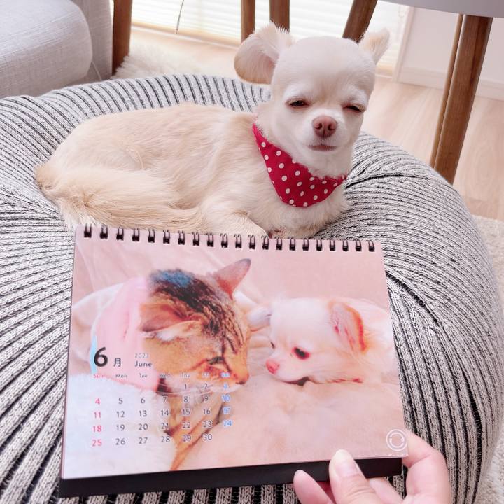 1ce6f22a c7b0 4464 98d9 33ecc16d97ee 1685604791423