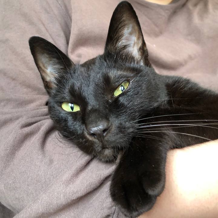 1ce707b9 f882 417f bbee 872a698f96d7 1722723461805