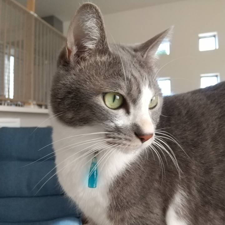 1ce725e1 9ef4 4756 a8e2 b10bd82a8a99 1638074199149