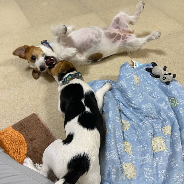 1ce72c08 7393 44c7 ba9f 10949095237d 1749892534555