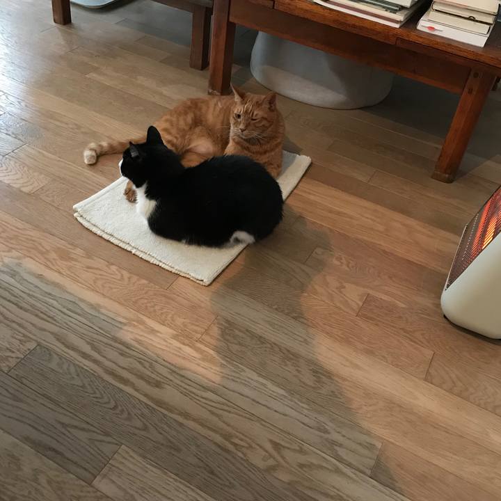 1ce73faf acf6 420b 8050 10d26e1939aa 1577022694539