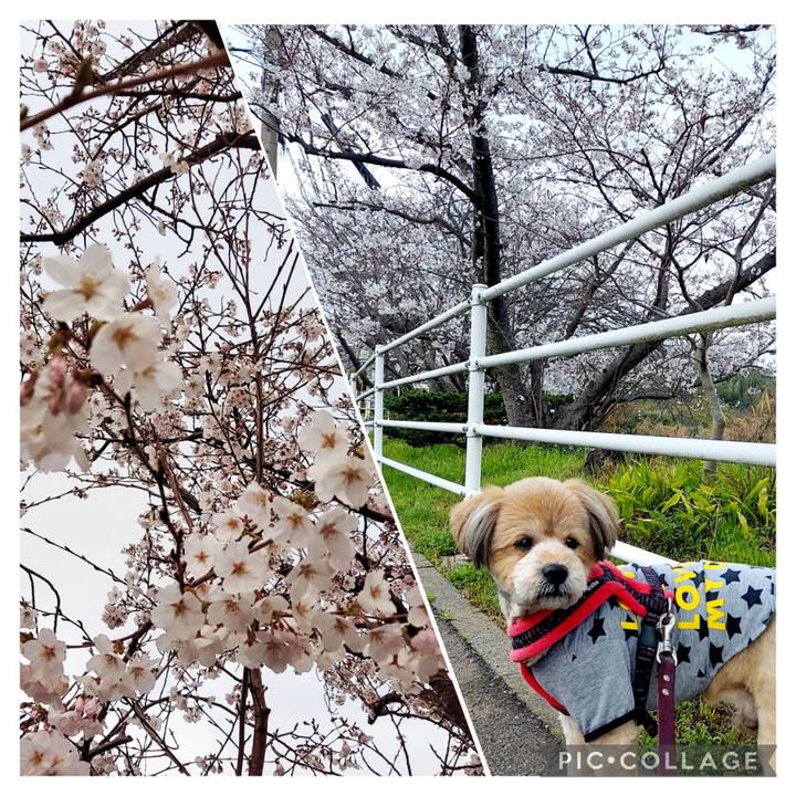 1ce76980 0c85 46b2 a8fc cf30d08a346f 1648293191338