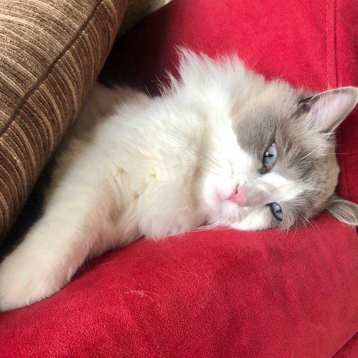 1ce76b0c 7b2b 444c abc4 25a2235e38ef 1613970524193