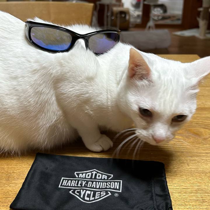 1ce7984c 09c1 41ae 8f64 cd7a3315a14d 1681813455999