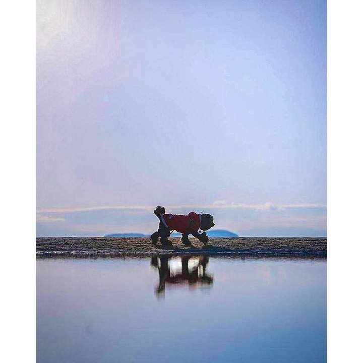 1ce7b01d 278b 49bf ab11 31b5e10396de 1705053297722