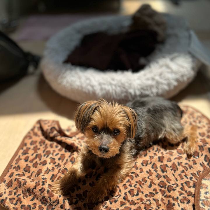 1ce7ea2c 5d2f 47c6 9f13 c665d86b6888 1653189072785