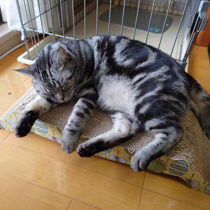 1ce84638 02e5 4aba 8497 f060f8e365d4 1630381893439