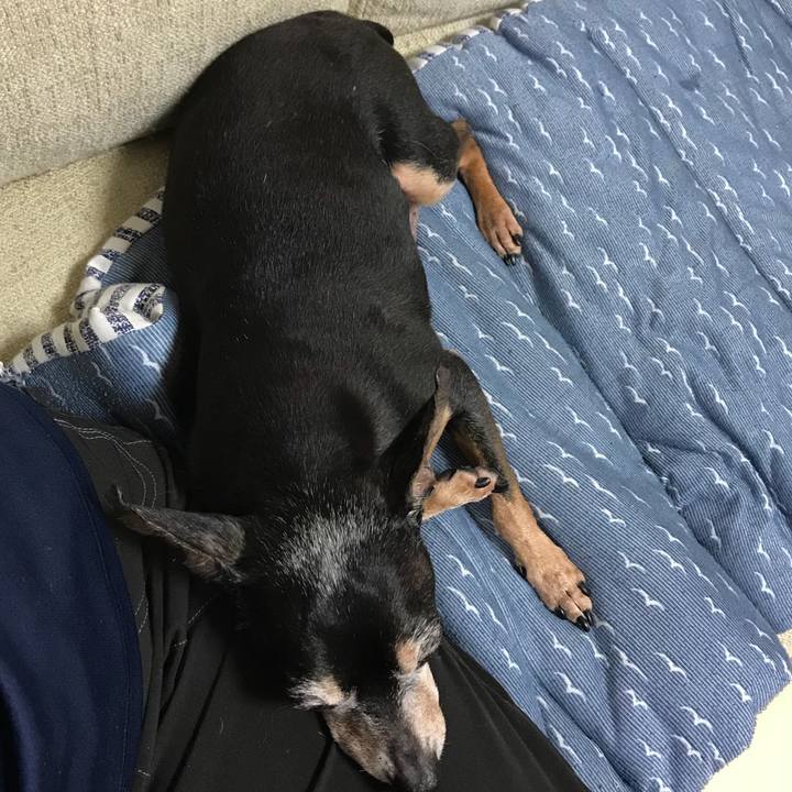 1ce890f3 91f0 498e a662 817c62f5cdce 1533990197387