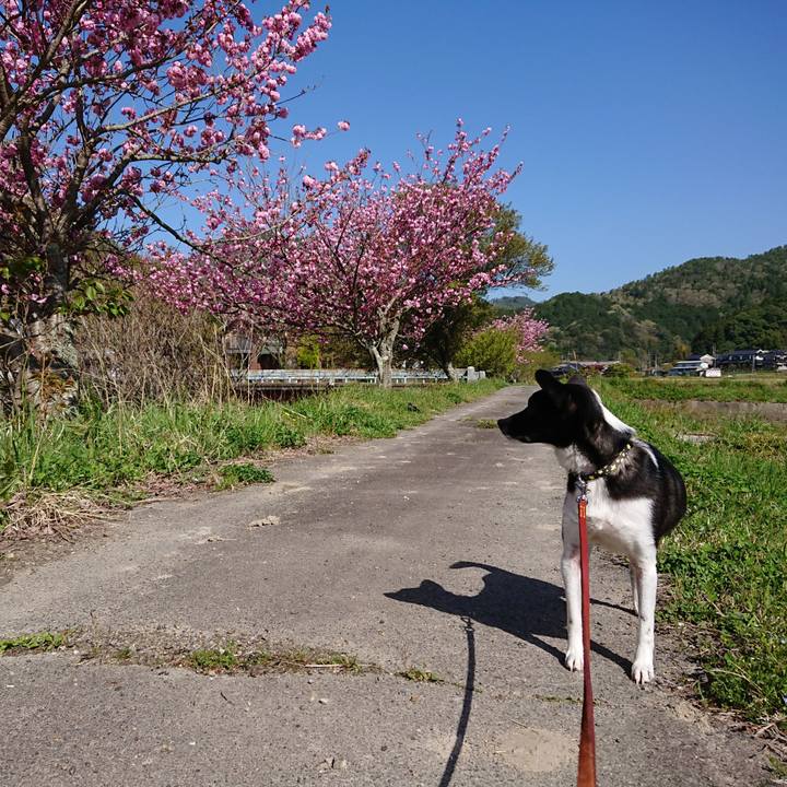 1ce89717 4dc9 42b3 afd5 029e80f2d3f9 1524096212647