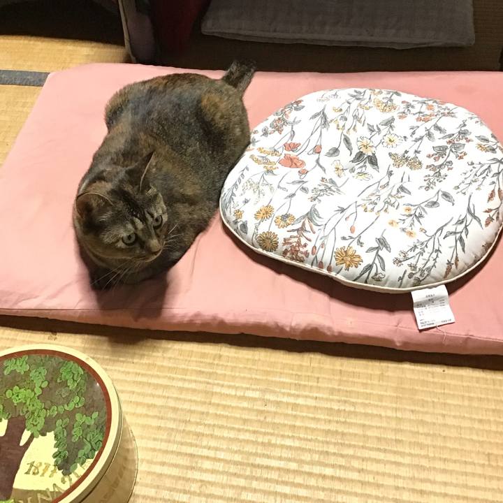 1ce8cf0c 32b2 4c8c 8138 2383f0c00f62 1694607550146