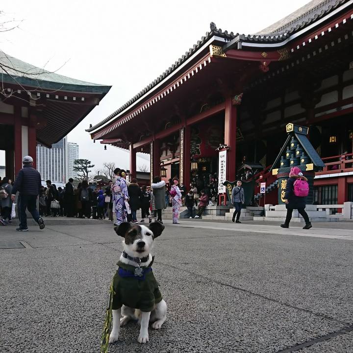 1ce8ec42 5cc7 4aaa 9e1f 425bf089c76c 1517725734014