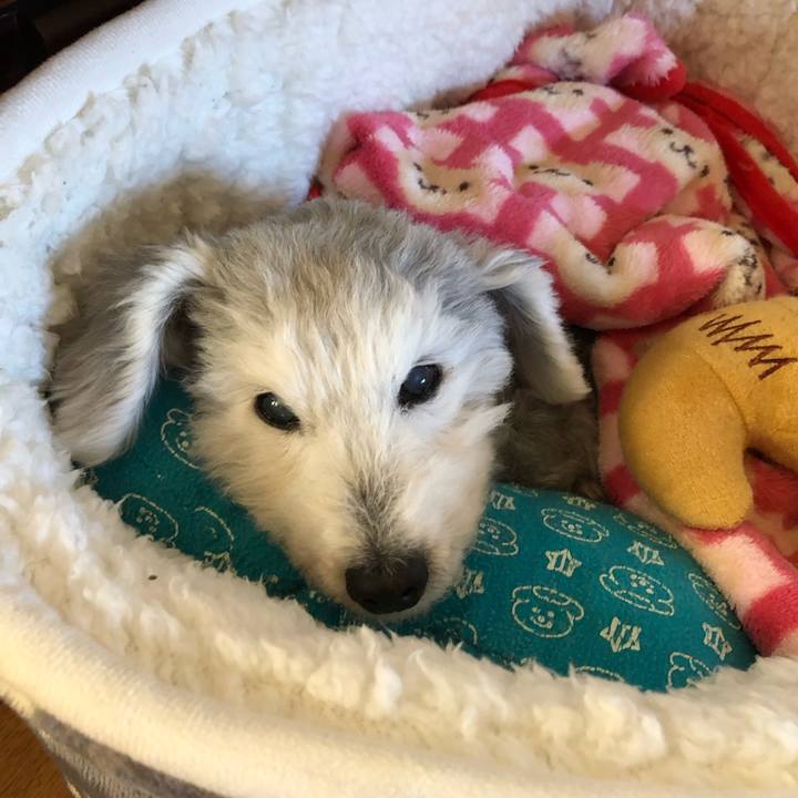 1ce8f02c bbc2 45d5 b29e 07c061659708 1669249114041