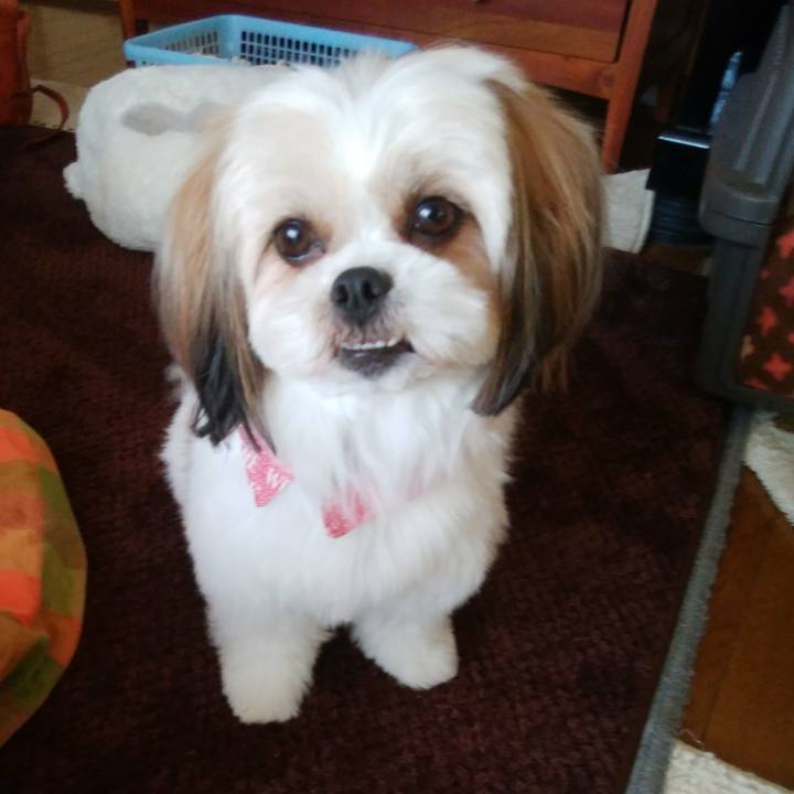 1ce92175 94a2 4f60 a3bb b33647409592 1540462133351