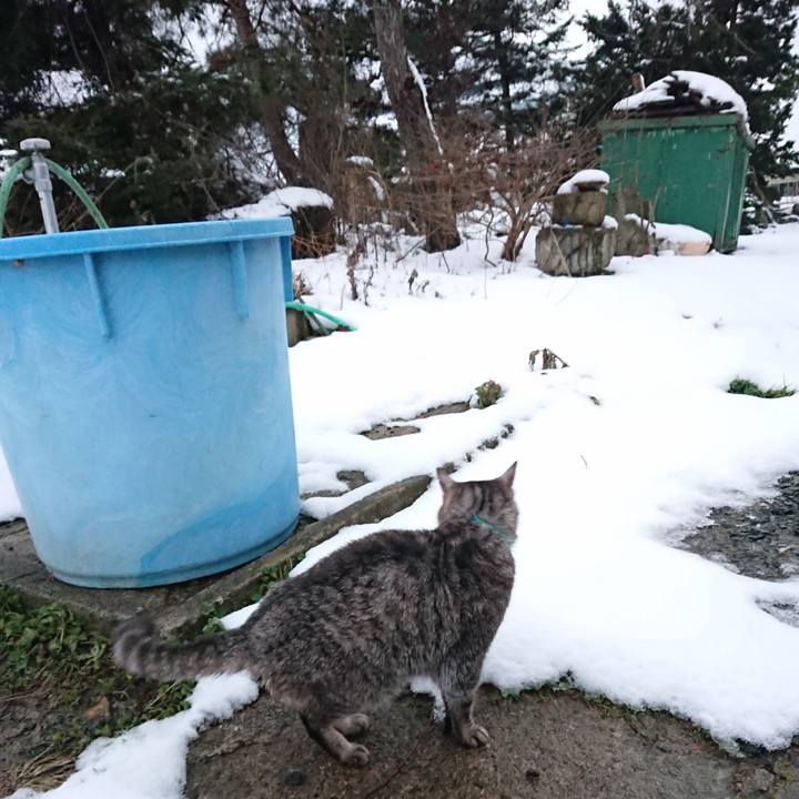 1ce93d96 fbe5 42ef bd02 45d0ce0b651a 1577518855597