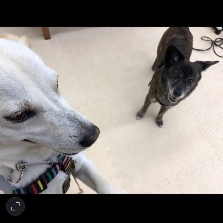 1ce98009 16bb 4858 8ff8 b0dddee582ba 1623714993654