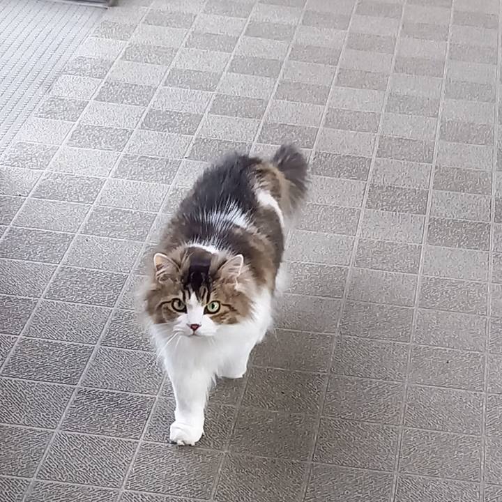 1ce9986b 9aab 4b18 9a54 2d075895fb7f 1680959540933