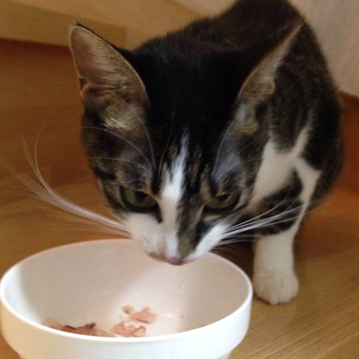 1ce99a7a 29de 4db5 811b ef9f1ea547a1 1508233200165