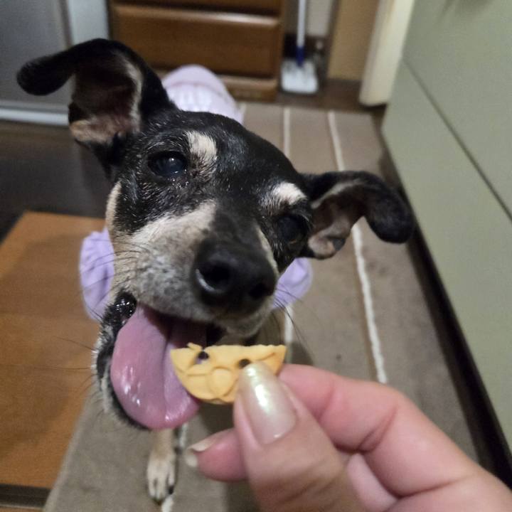 1ce9bef0 d839 46cf 8425 8a362be50429 1755804530315