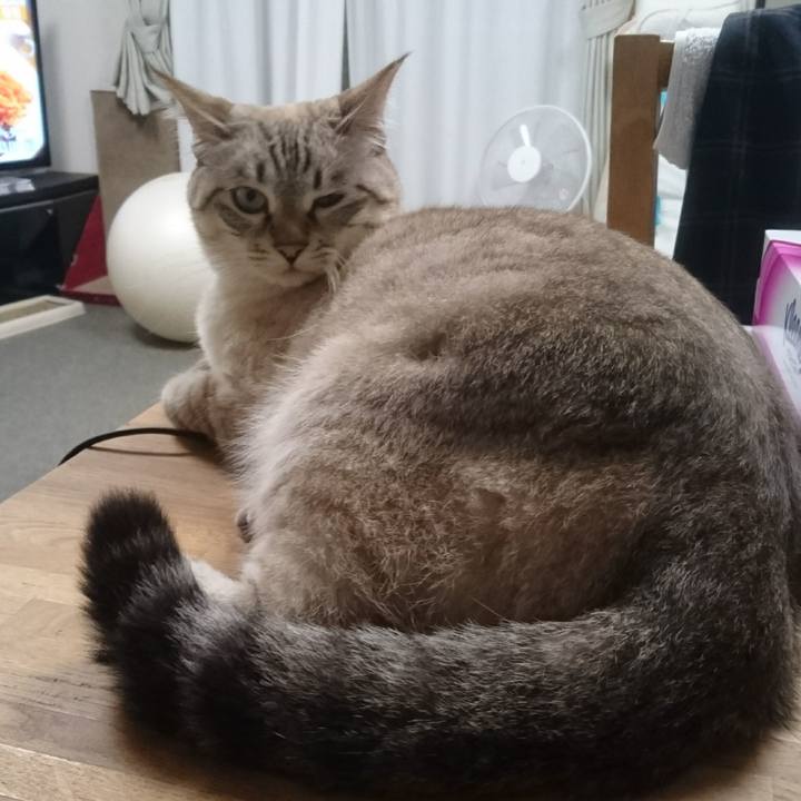 1cea1836 5e36 4819 b987 400c2a6bbde2 1507800878868