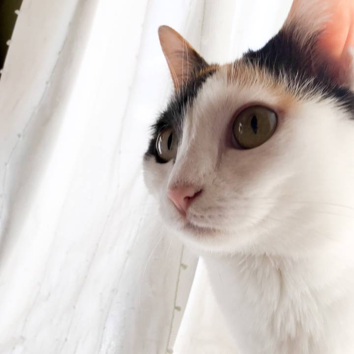 1cea4089 41ba 40f0 b240 27e15e7c24f9 1527642666485