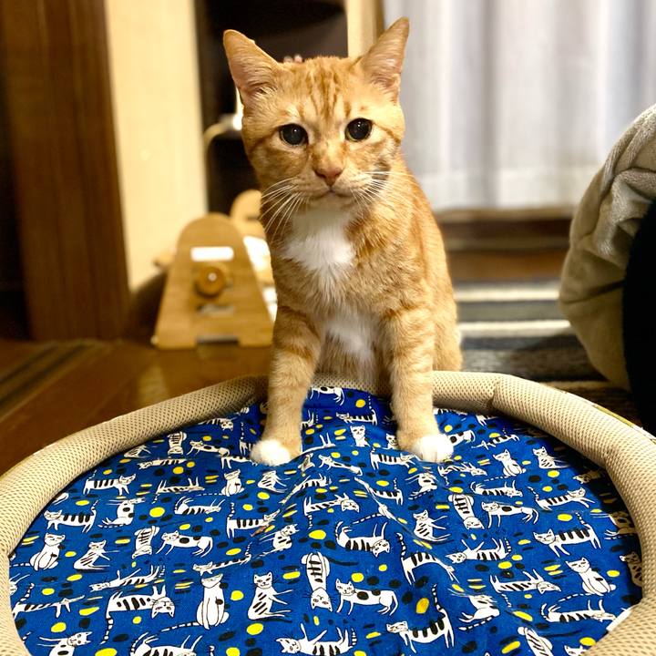 1cea450b 584e 4209 bcac b1c118fadcfe 1768950424287