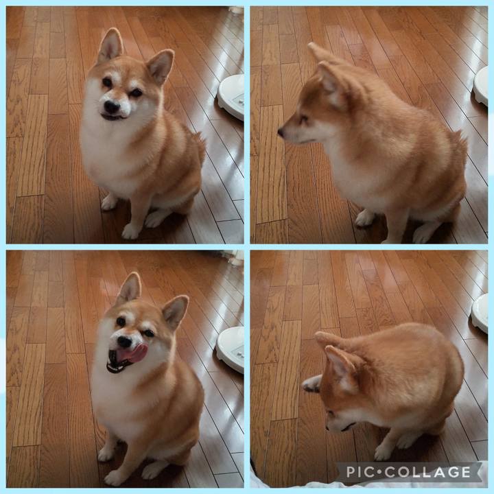 1ceaad07 12c5 493d a827 01bc06f5bce5 1756087513460