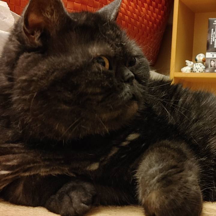 1cead9ec e657 4c56 92ff b0b6521df105 1624276266261