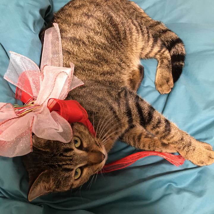 1ceb0768 54c5 401b 87cb 190d79cc773a 1519392368268