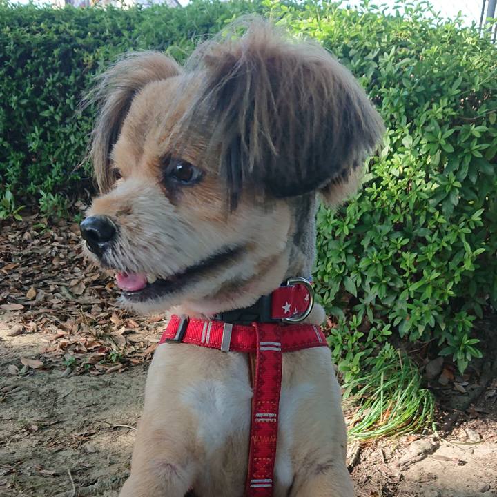 1ceb1294 1b0d 4dc4 8257 80f68894ae8d 1568720642761