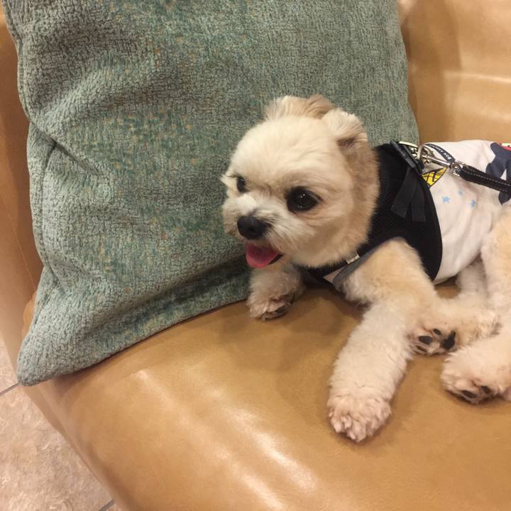 1ceb3505 4a11 42ca 99f0 456f348dfabd 1533291954401