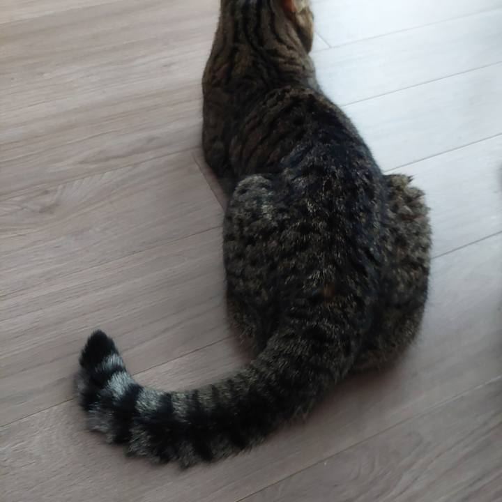 1ceb4a7e 817c 4446 bab8 0d66038c7137 1724623919143