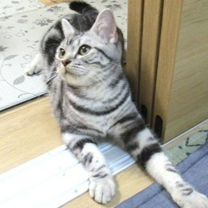 1ceb7822 6f33 4ec6 807e fc199a5f0b49 1541668074392