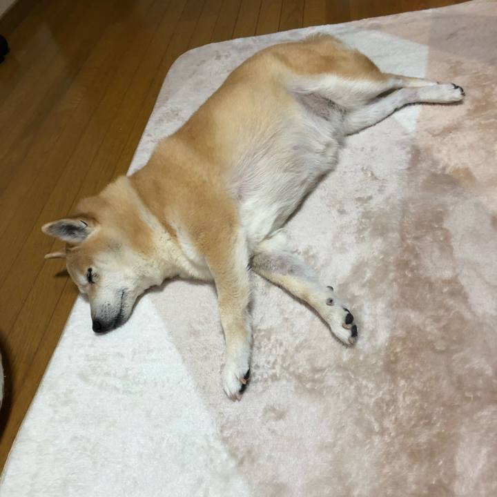 1ceb9086 4e20 48cf 8388 911c82c16604 1583331099820