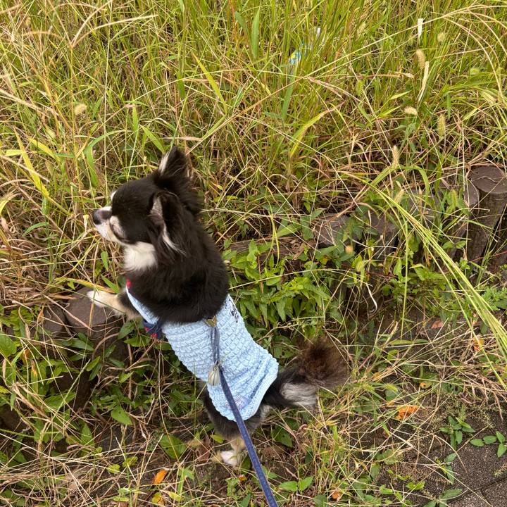 1ceb956b 0c53 4e42 8cde 8ccc62a2f8ae 1726934381887