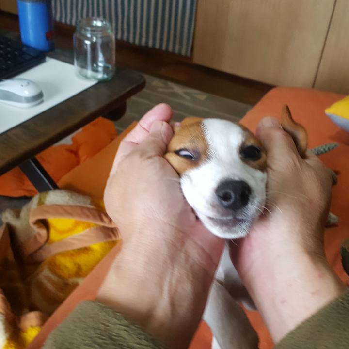 1cebebdc 807c 40ab a52e cf3c0f40074e 1550543576019