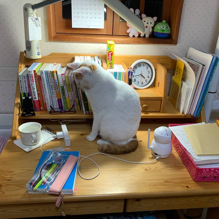 1cec19fc 7bd2 4577 b424 822f2e722228 1634244287884