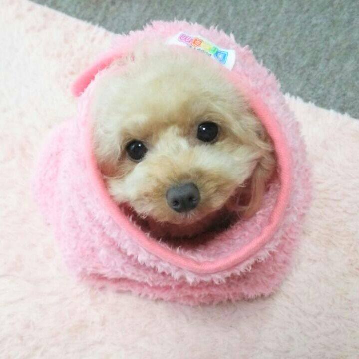 1cec60d5 f5a4 49ed a31f c2c805593767 1539775289940