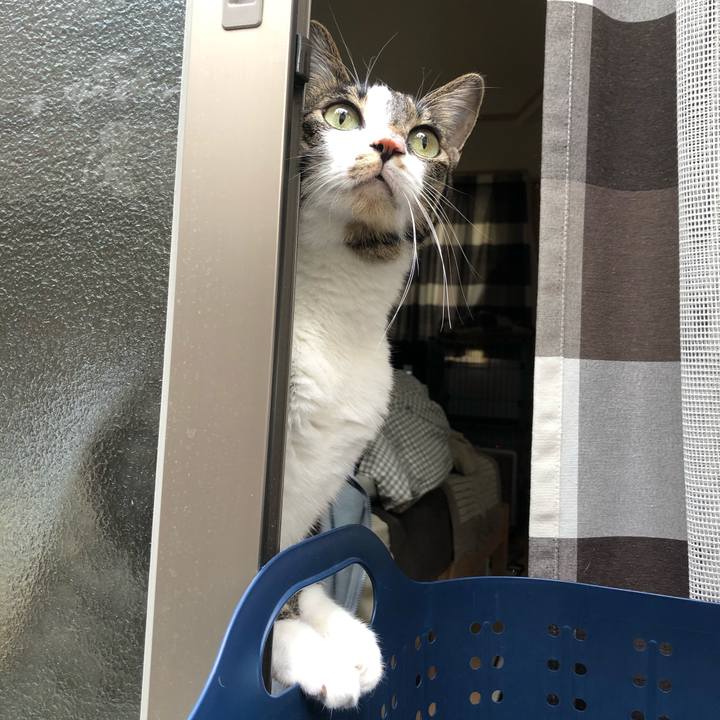 1cec85fb 1ee6 49d0 a4d5 67eb5389200b 1606813798281