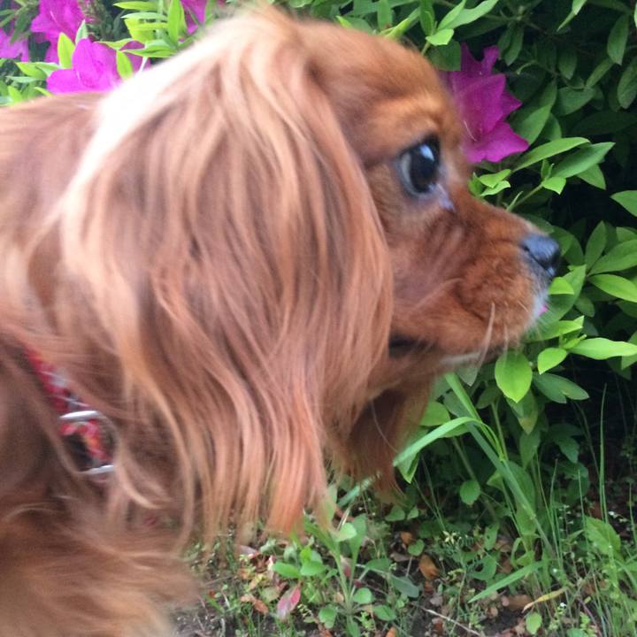 1cec94ae 164f 4089 a10e 6212694b62c2 1524265932170