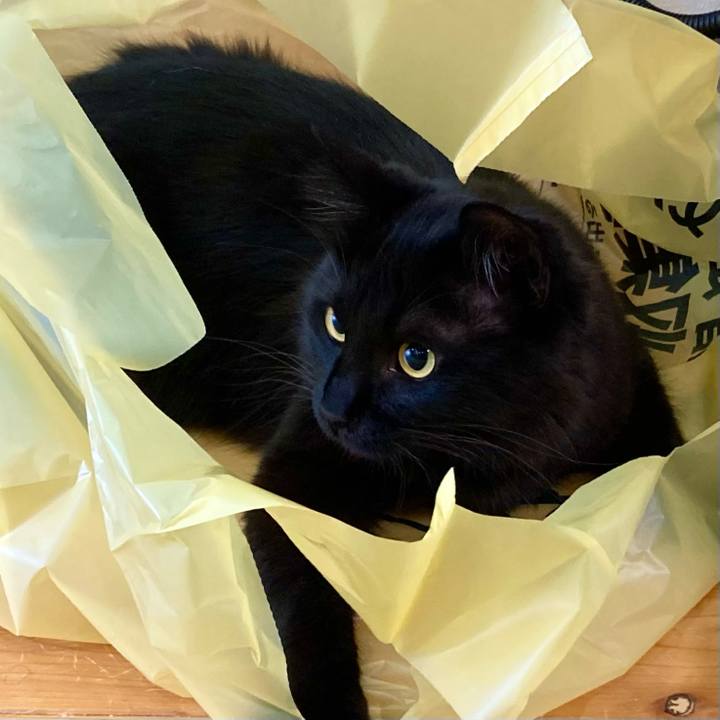 1cec9977 f0cf 49fa a062 6a6bcc178a99 1721451528285