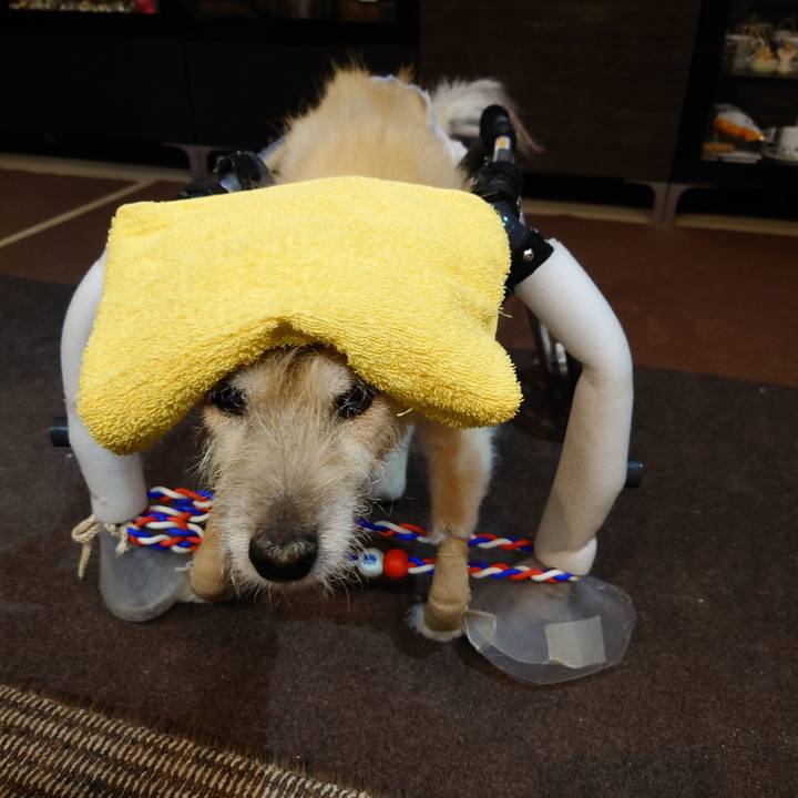 1cecbe03 0f7f 477b ab1a 8c646a582c19 1665675373900