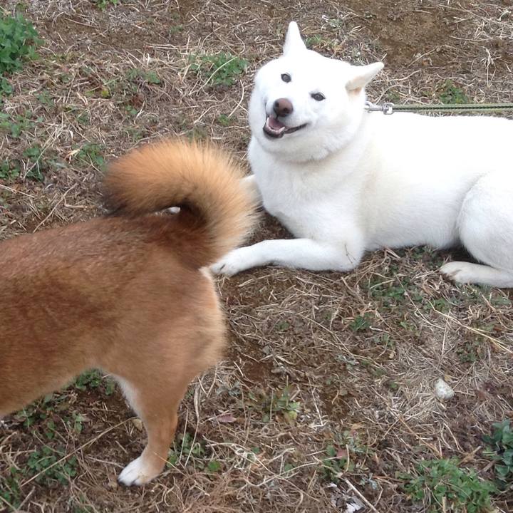 1cecccdf ef5d 4beb b193 2425db0d7c2d 1520212202722